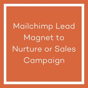 A graphic with an orange background and a white line bordering the image. The white text in the centre of the image reads ‘Mailchimp Lead Magnet to Nurture or Sales Campaign’