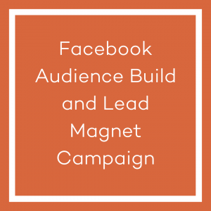A graphic with an orange background and a white line bordering the image. The white text in the centre of the image reads ‘Facebook Audience Build and Lead Magnet Campaign’